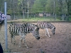 PIC00011.jpg