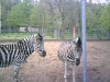 PIC00012.jpg