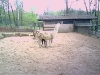 PIC00014.jpg