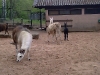 PIC00015.jpg