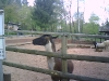 PIC00016.jpg
