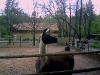 PIC00018.jpg