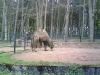 PIC00020.jpg