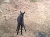 PIC00022.jpg