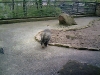PIC00024.jpg