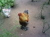 PIC00025.jpg