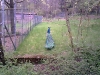 PIC00026.jpg