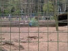 PIC00029.jpg